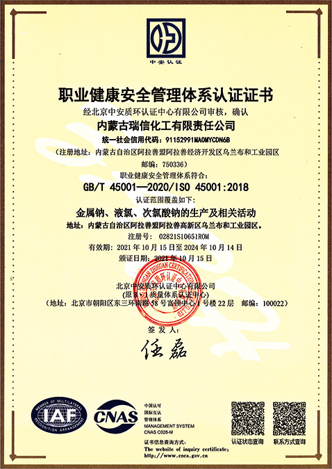 OHS Management System Certificate