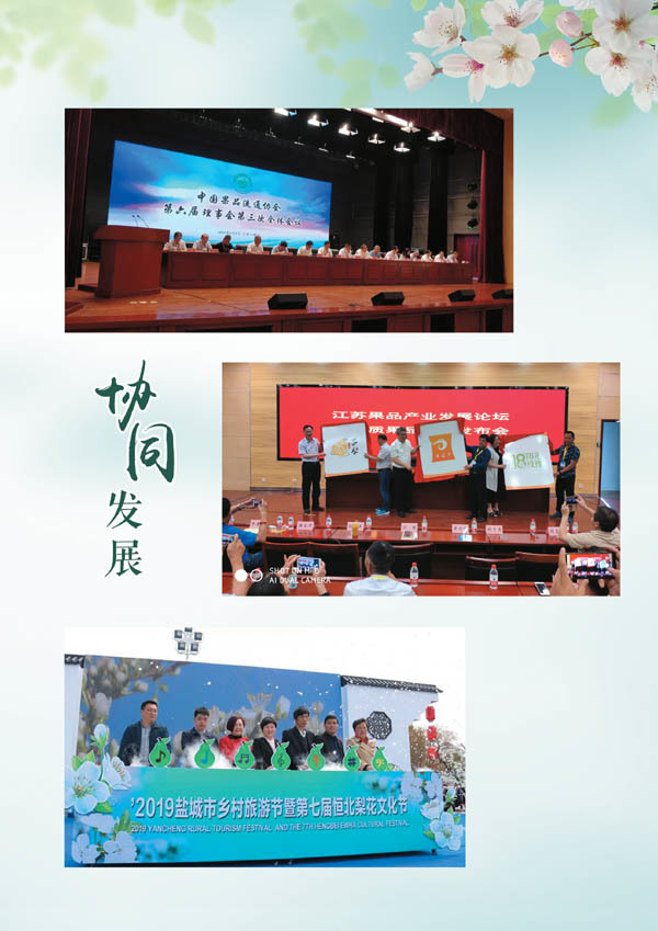 图片名称
