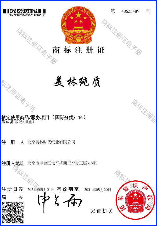 Trademark Registration Certificate