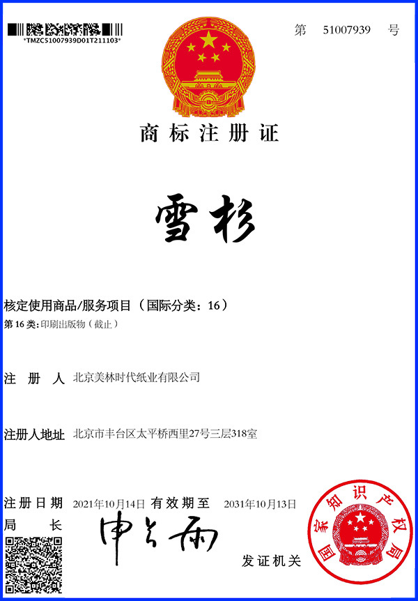 Trademark Registration Certificate
