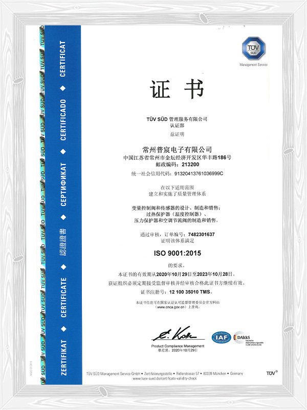 ISO9001 Chinese
