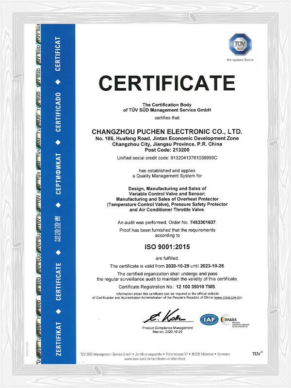 ISO 9001  英文