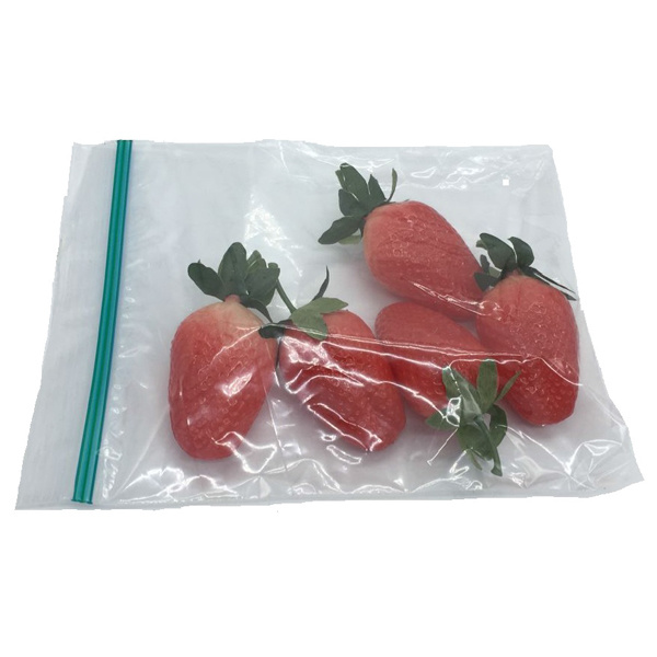 Double seal storage bag