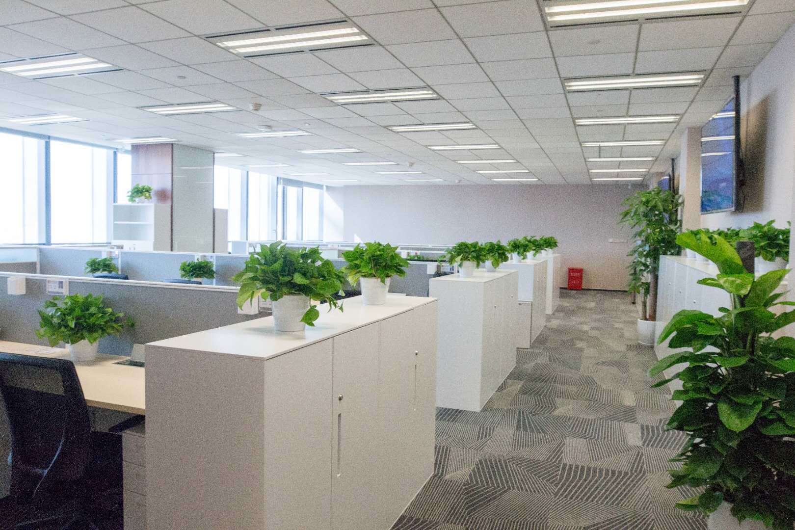 中信证券营业部