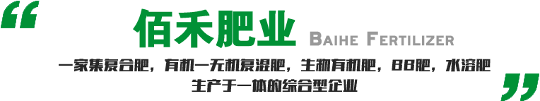 公司簡介