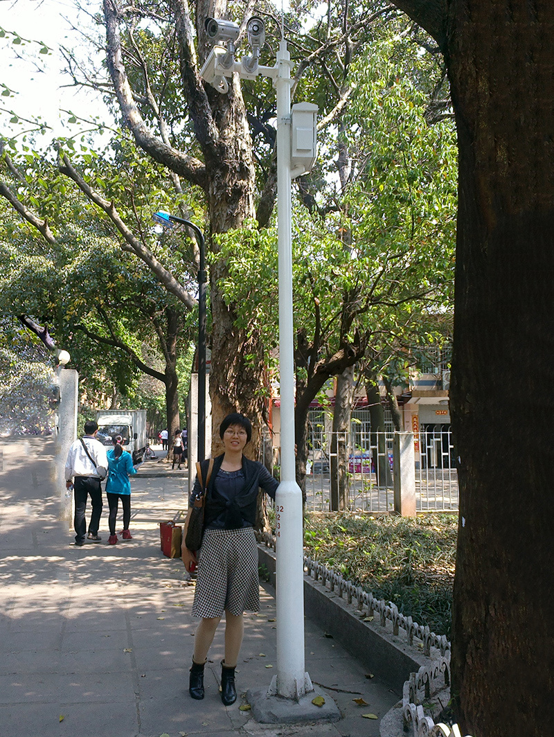 學(xué)校監(jiān)控立桿