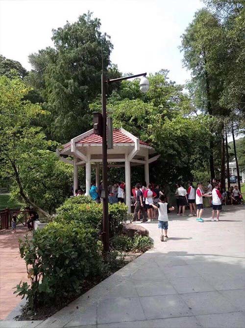 公園監(jiān)控立桿（鍍鋅圓桿）