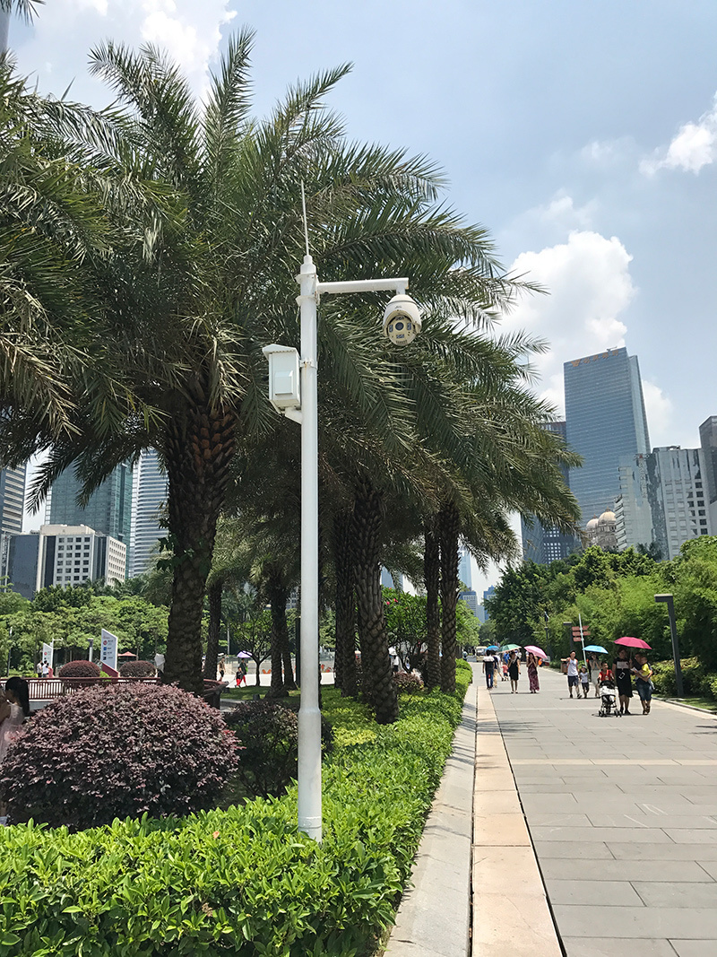 廣場監(jiān)控立桿
