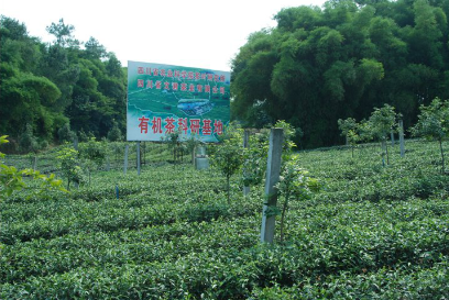 文君农业