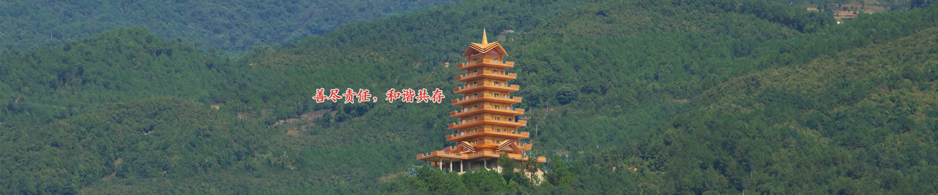 公益事業