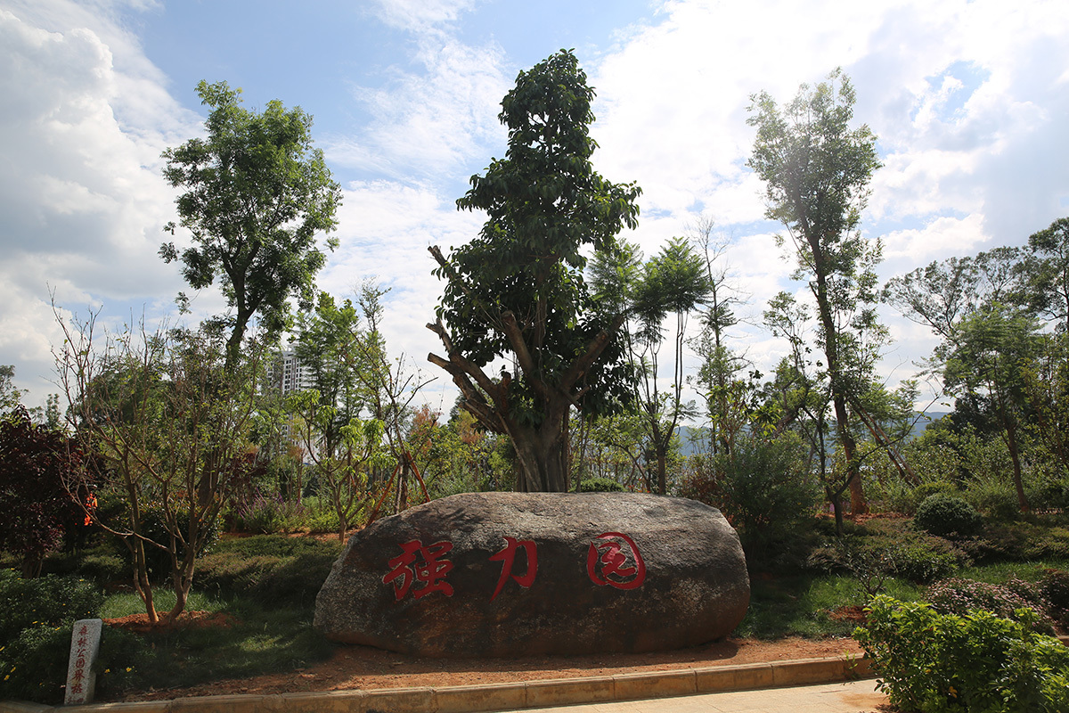 強力園