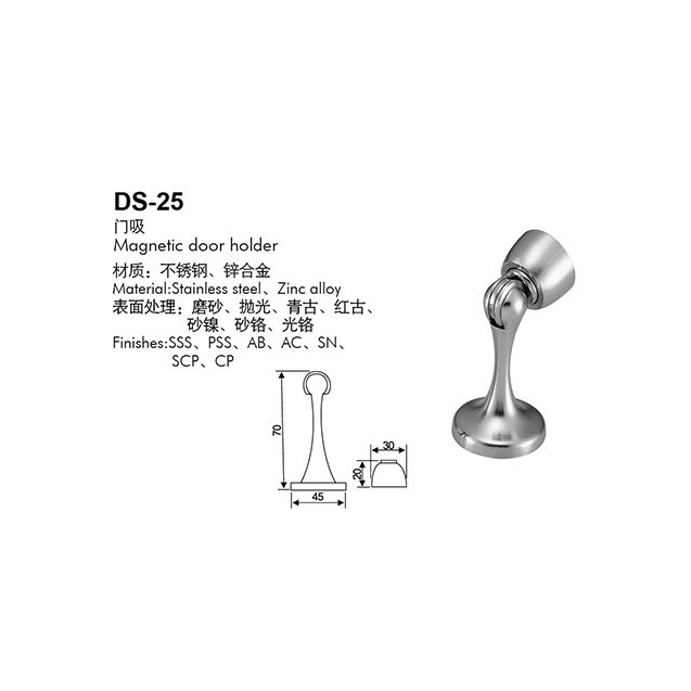 DS-25