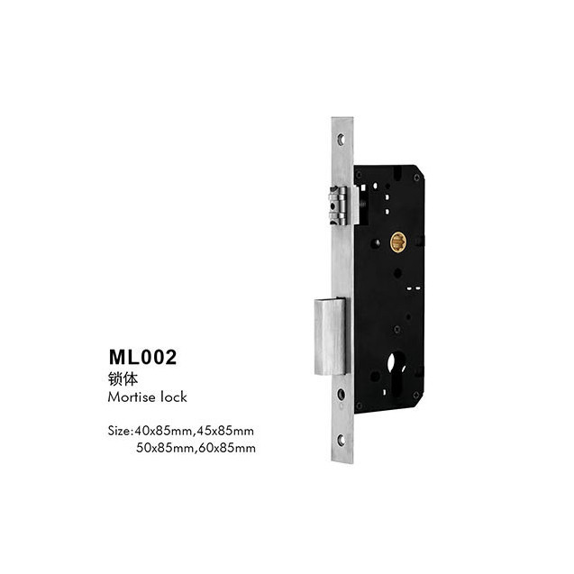 ML002