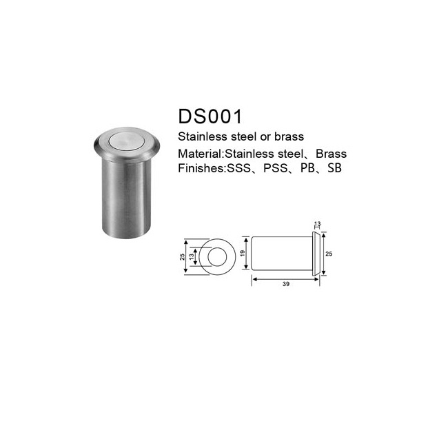 DS001