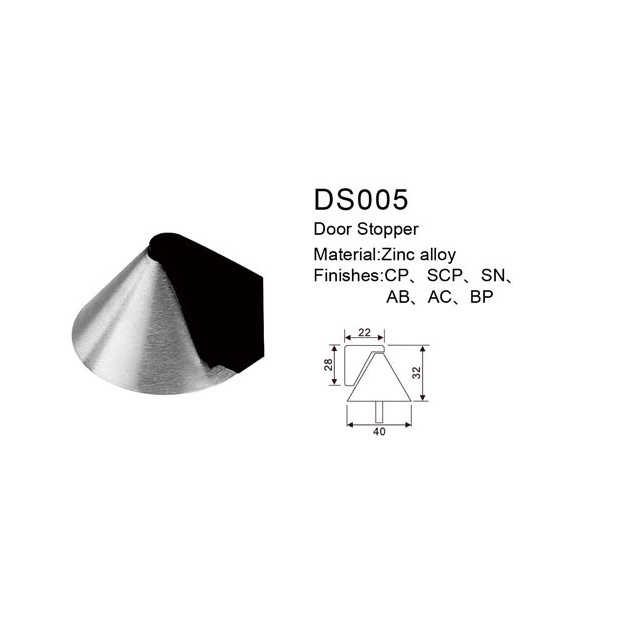 DS005