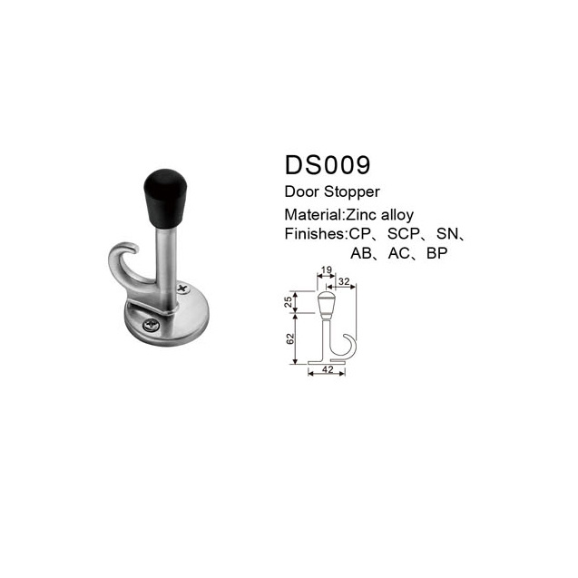 DS009