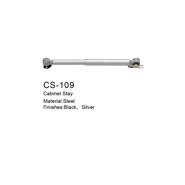 CS-109