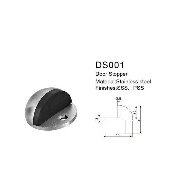 DS001