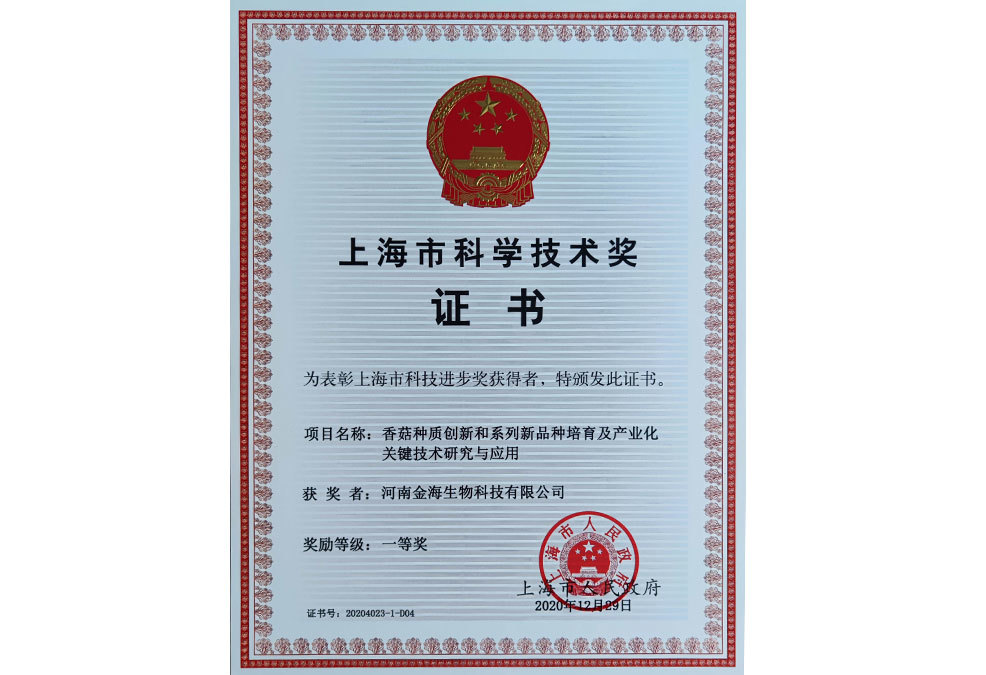 上海科学技术一等奖证书