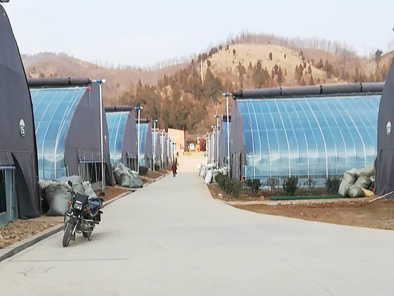代家村食用菌培育基地