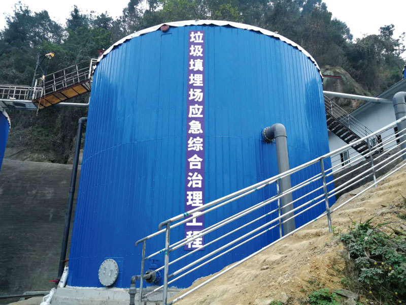 威远县牛洞子水库应急综合治理项目