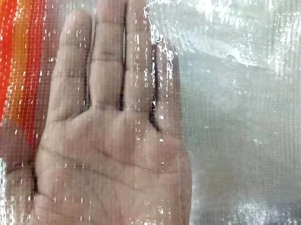 Transparent bag