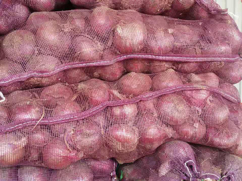 平织加密小网袋紫色洋葱