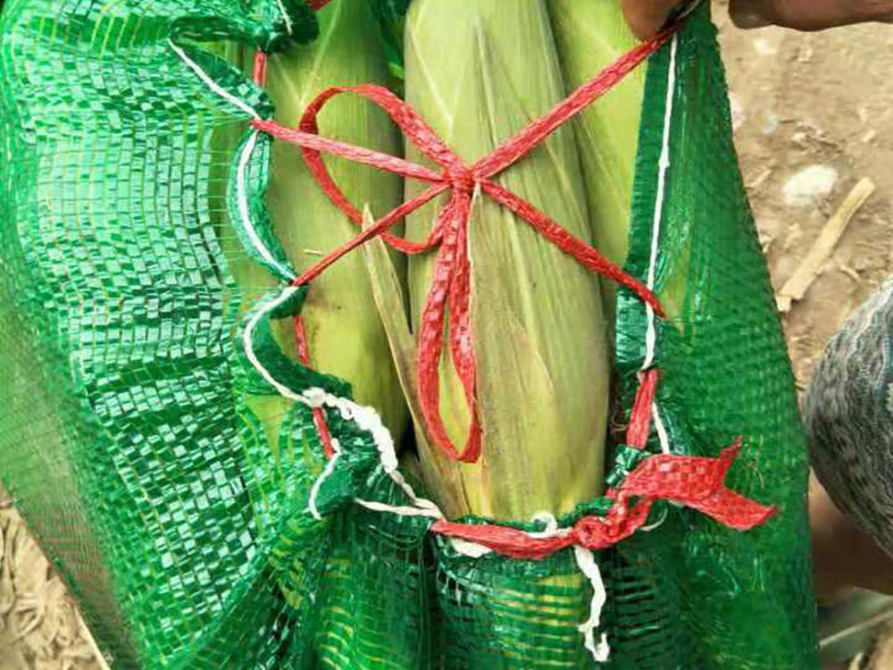 圆织玉米网袋
