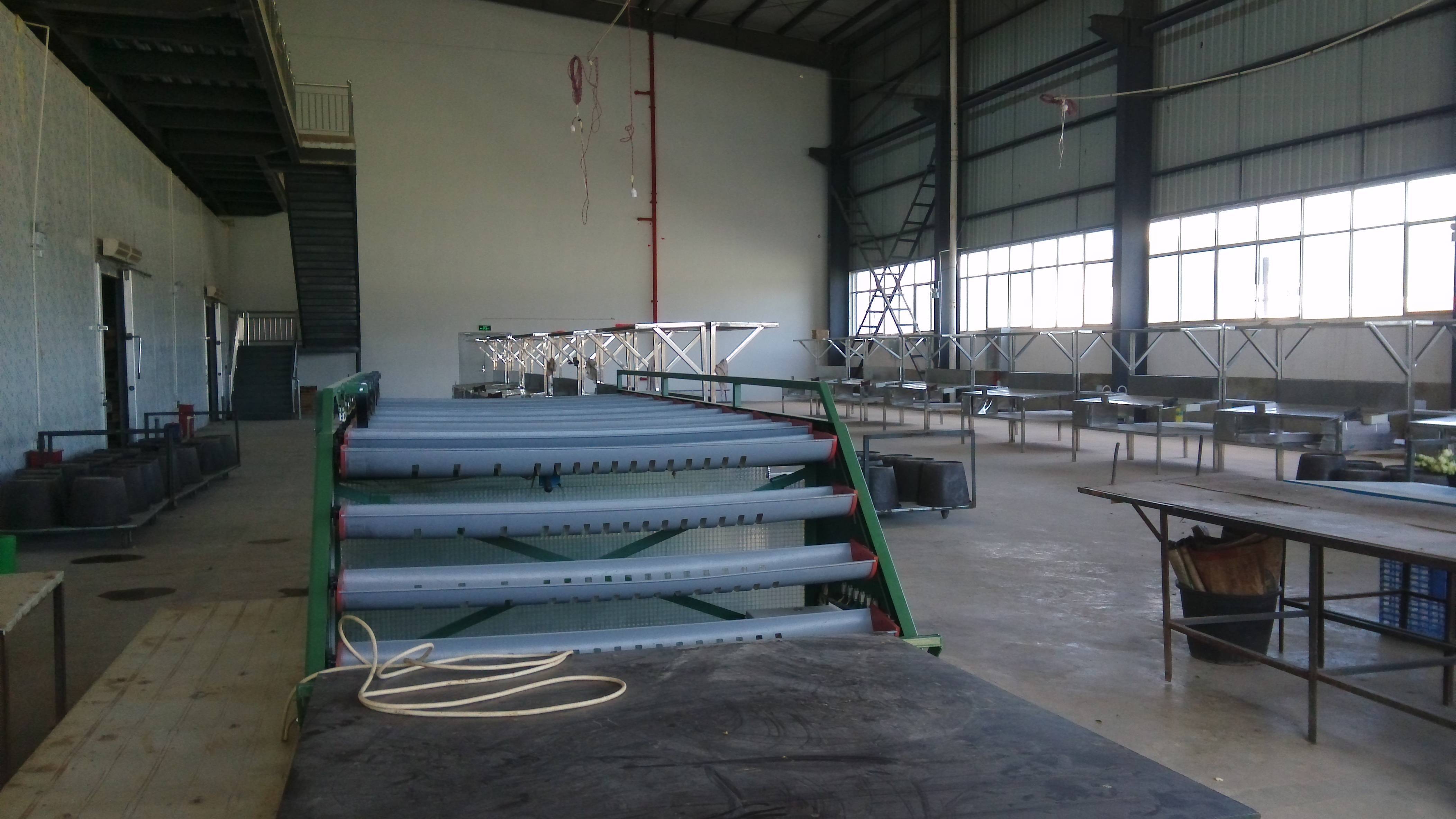 建设月季鲜切花采后加工中心及办公楼 建设月季鲜切花采后加工中心及办公楼