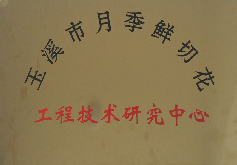 玉溪市月季鮮切花工程技術研發中心