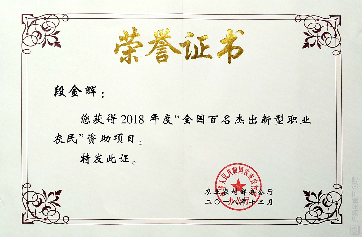 全國百名杰出新型職業