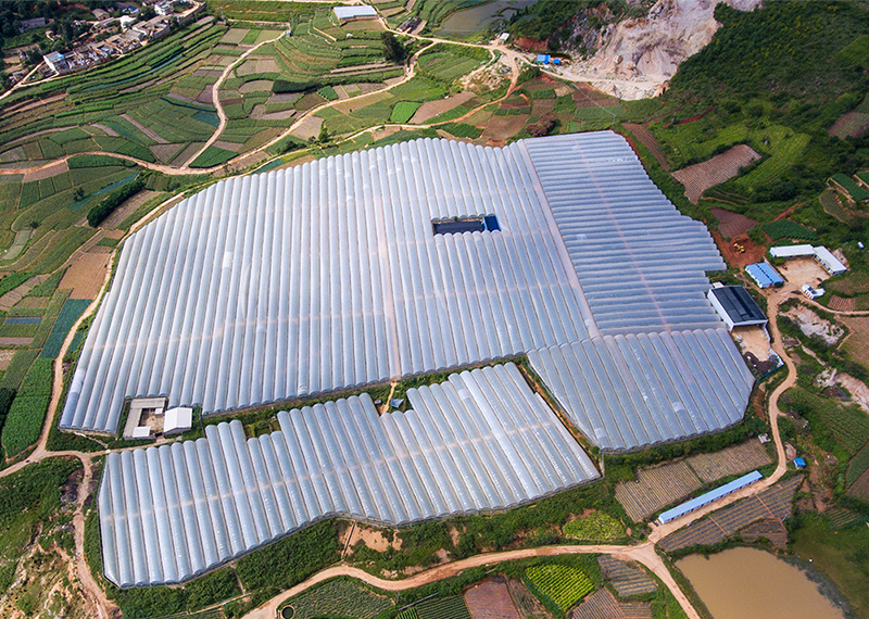 建设曲陀关基地,建设无土载培试验基地 建设曲陀关基地,建设无土载培试验基地