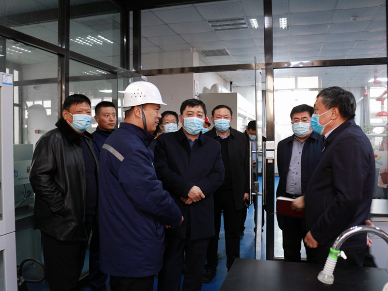 Vice Mayor Chen Xiaohua visited our company for investigation