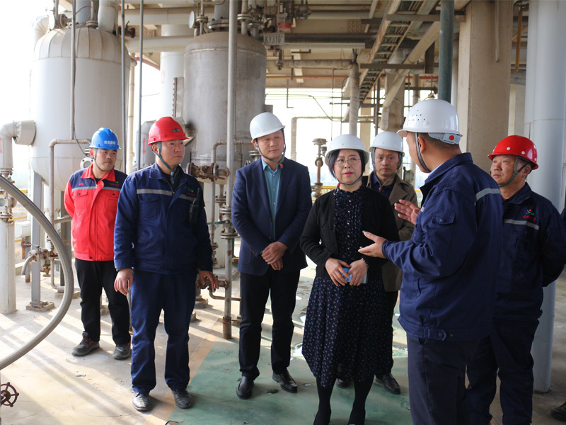 Cheng Yan, Director of the Scientific and Technological Achievements Transformation Division of the Provincial Science and Technology Department, and his delegation visited our company for investigation