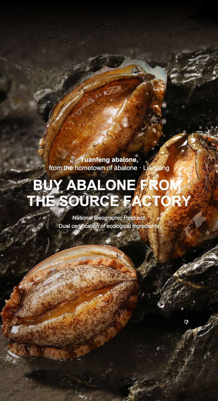 Abalone