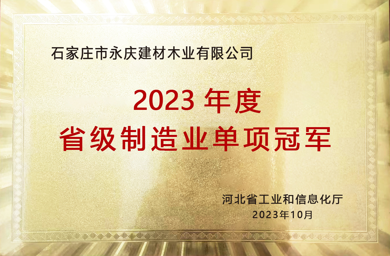 2023年度省级制造业单项冠军（防火门）