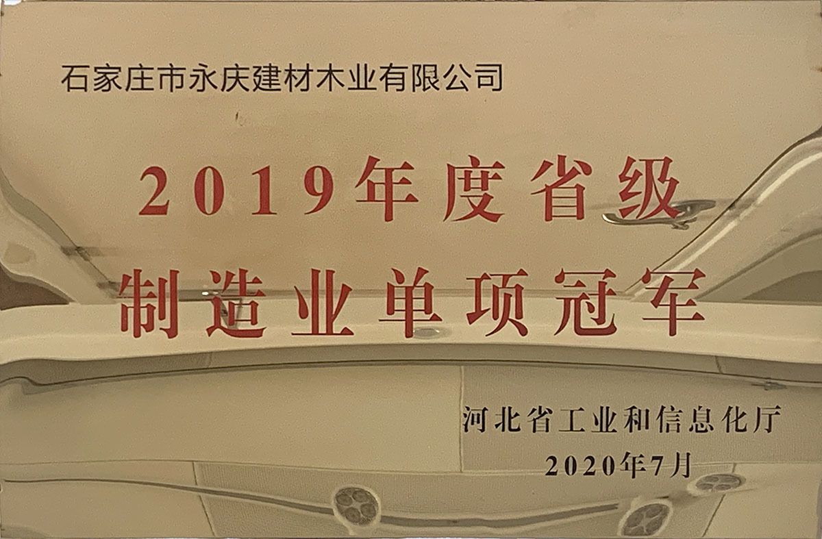 2019年度省级制造业单项冠军（防火门）