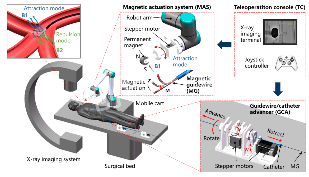 中科院深圳先进院提出面向血管介入手术的磁控导丝机器人 创导三维血管模型助力