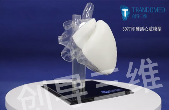 3D打印硬质心脏模型（透明/不透明两种材质）
