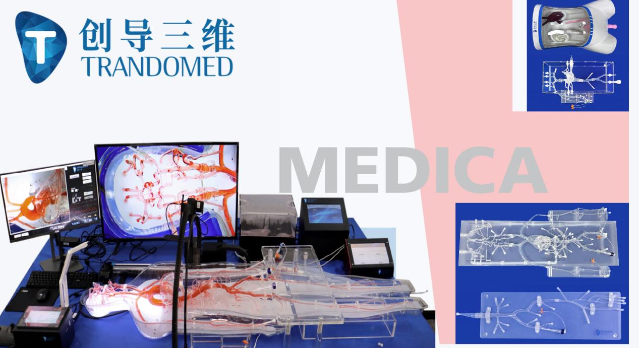 全身動靜脈血管模型