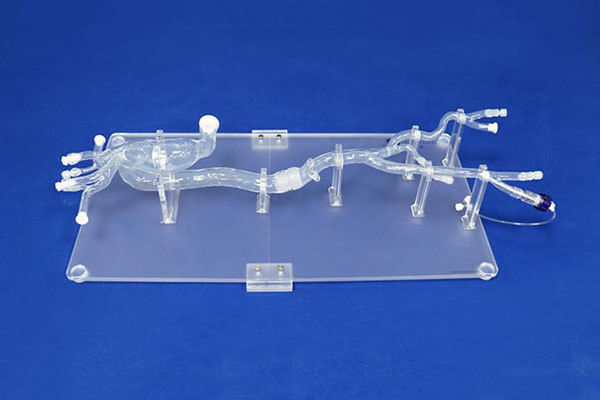3D打印技術在主動脈夾層術前規劃中的應用