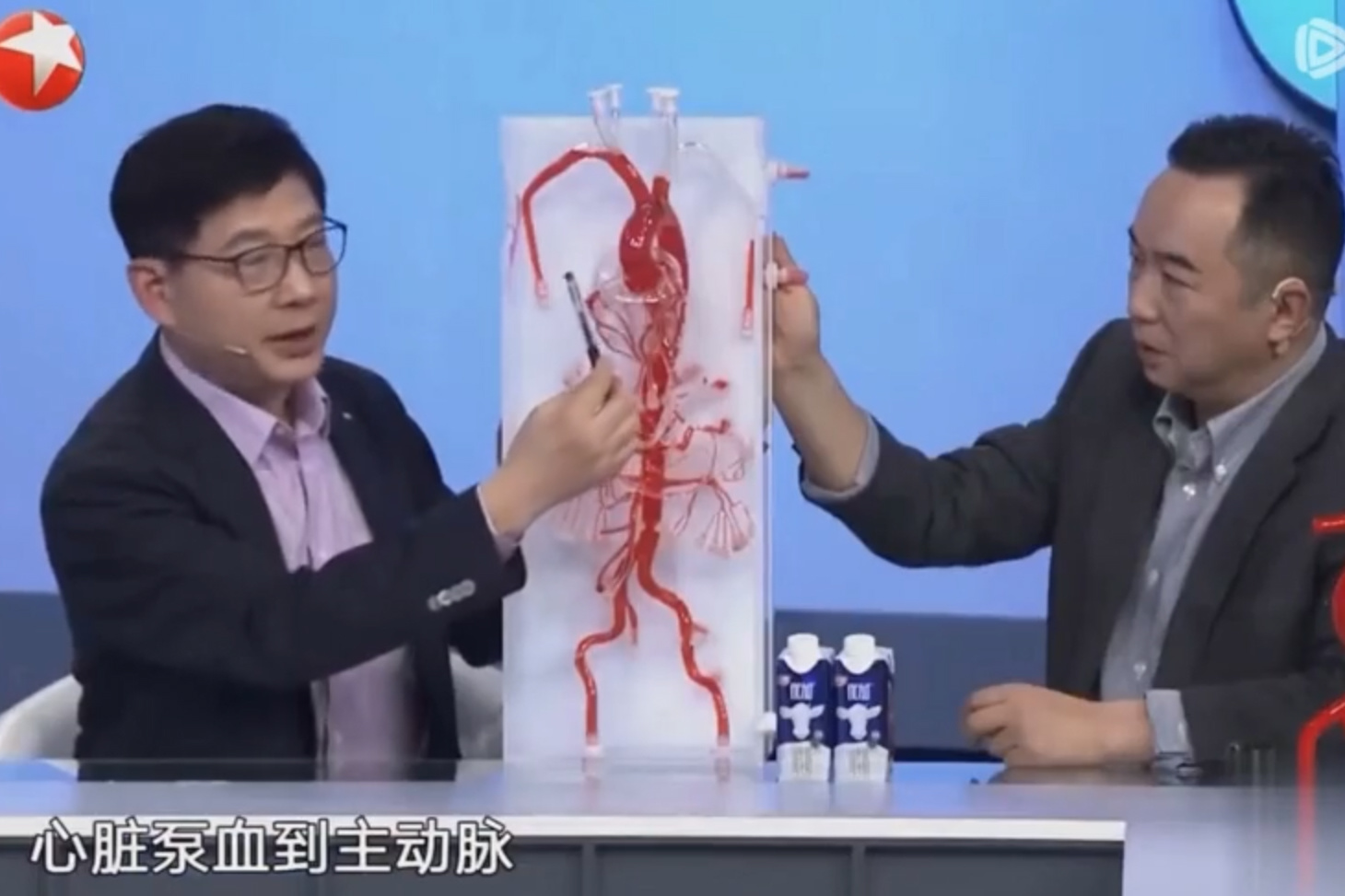 創(chuàng)導三維亮相東方衛(wèi)視！