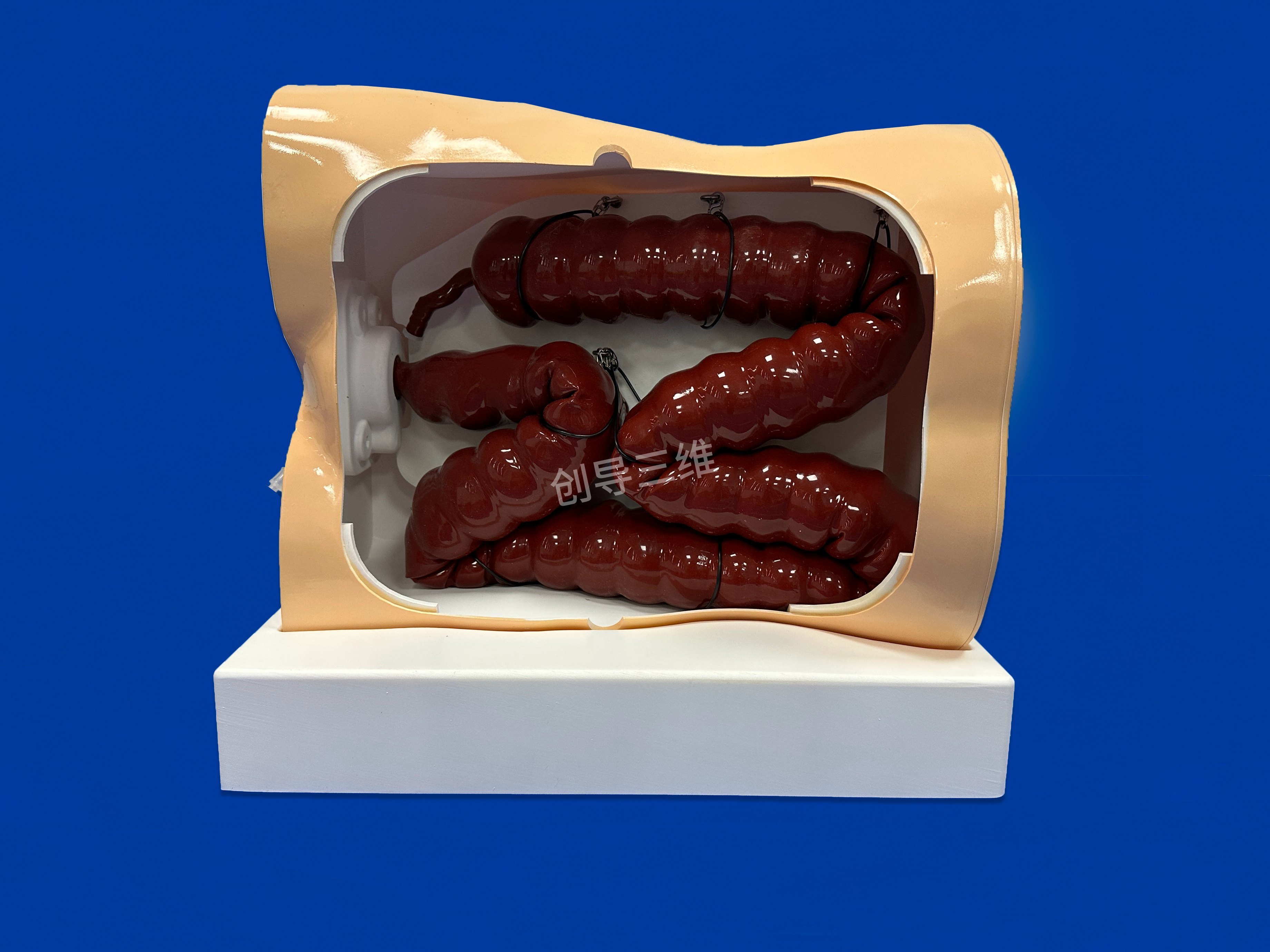 結(jié)腸鏡檢查訓(xùn)練模型