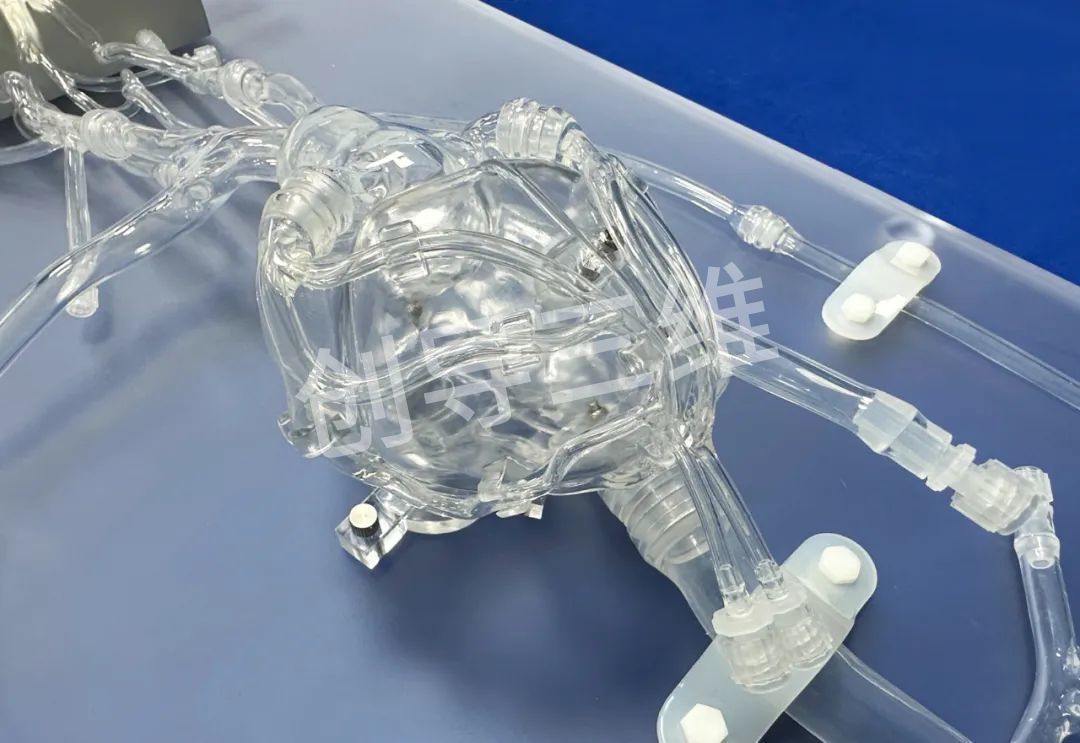 创导三维3D医疗打印透明心脏模型