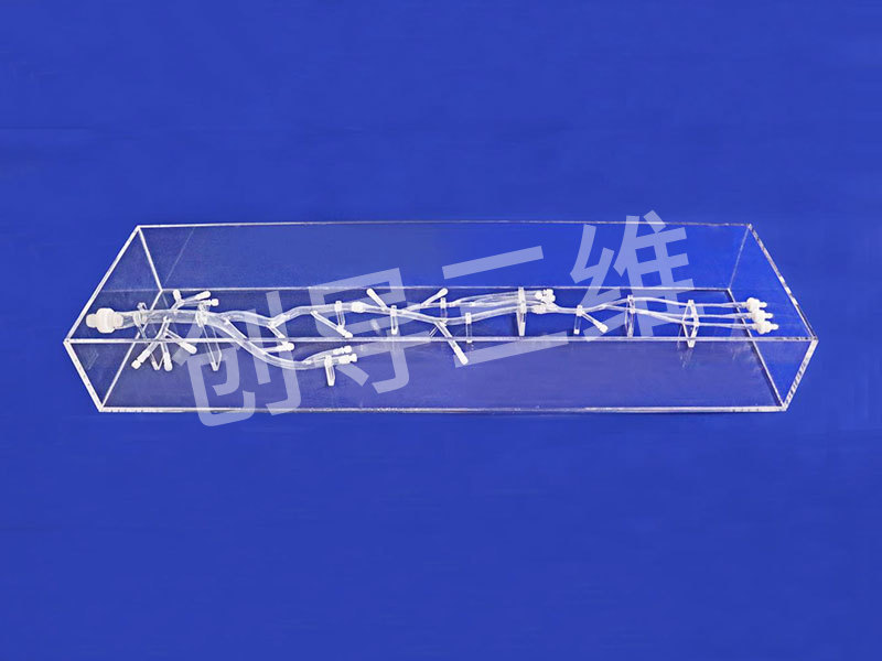 空间下肢动脉血管模型