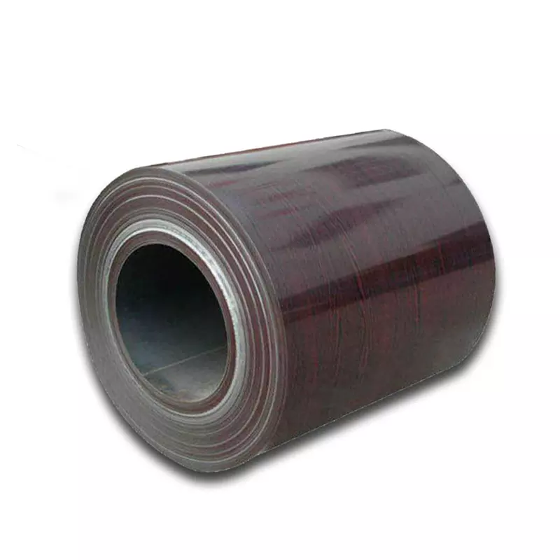 Color Coated Painted Metal Roll Paint Galvanized Zinc Coating PPGI PPGL Steel Coil