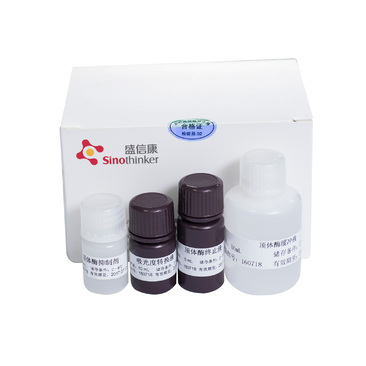 精子顶体酶活性测定试剂盒（Acrosin）
