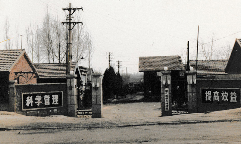 1954年