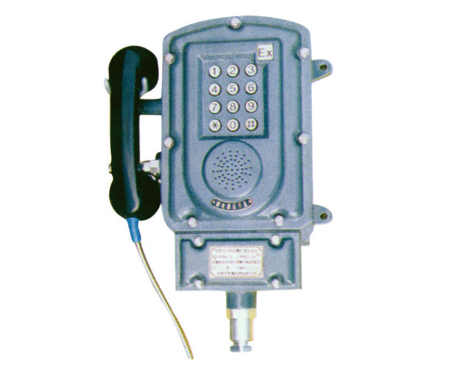 BKDH01系列防爆无主机扩音电话机(IIB、IIC、DIPA20)