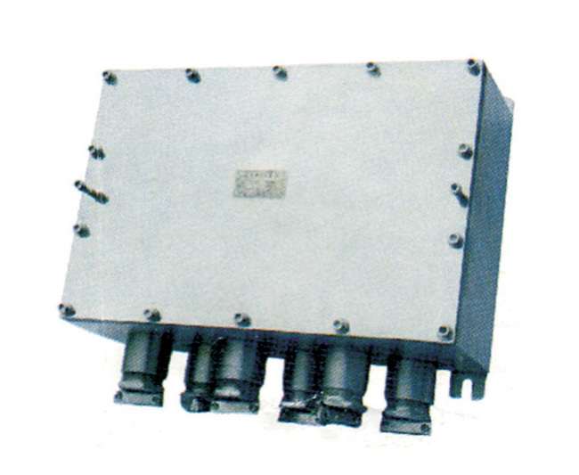 BXJ03系列不锈钢防爆接线箱(IIB、IIC、DIPA20)